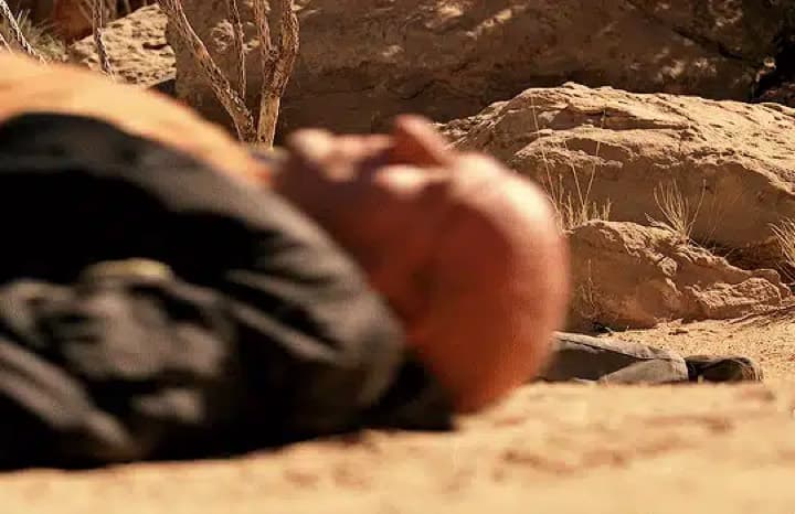 Breaking Bad (TV Series)