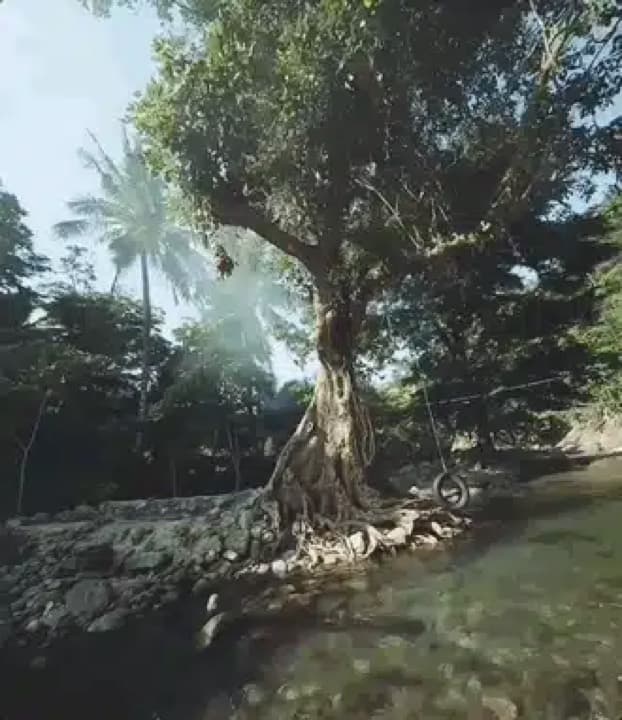 Drone Shot By FPV Shenanigans