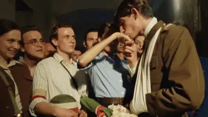 Sokół – MiłOść Zawsze Jest