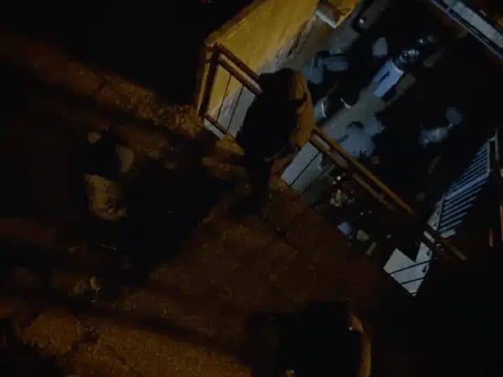 Ziak Akimbo