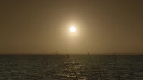 A Clear Sunset