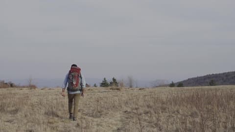 A Man In A Backpack Hiking Across A Yellow Field