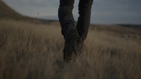 A Man Walks Through A Field