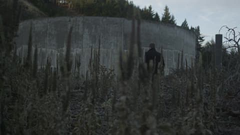 A Person Walking Past Some Dead Sticks