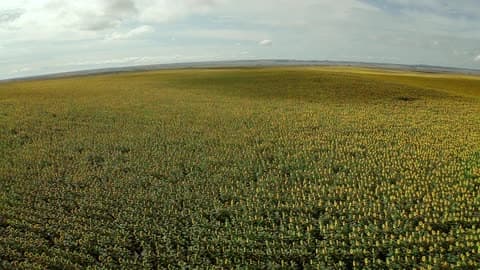 Aerial Pan Of A Large Field On A Cloudy Day