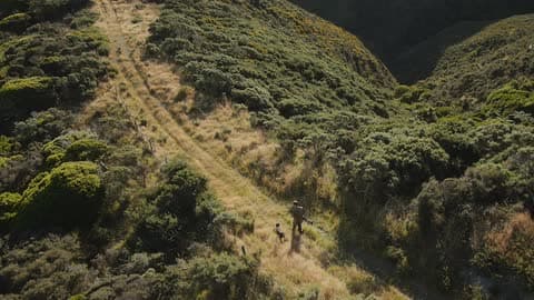 Aerial View Of An Animal Walking Next To A Person