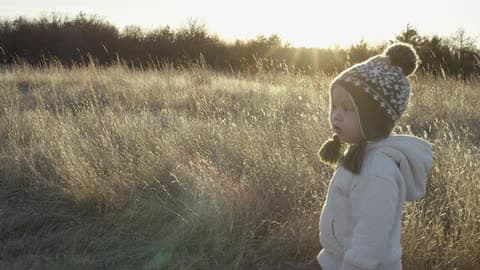 Little Boy In A Yellow Field