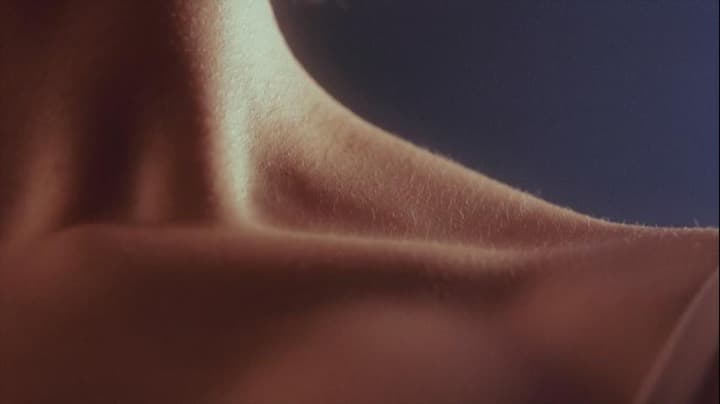 Wave